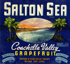 Salton Sea crate label